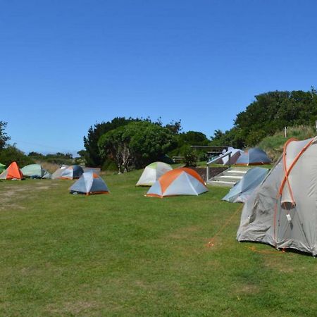 Dunedin Holiday Park Zewnętrze zdjęcie