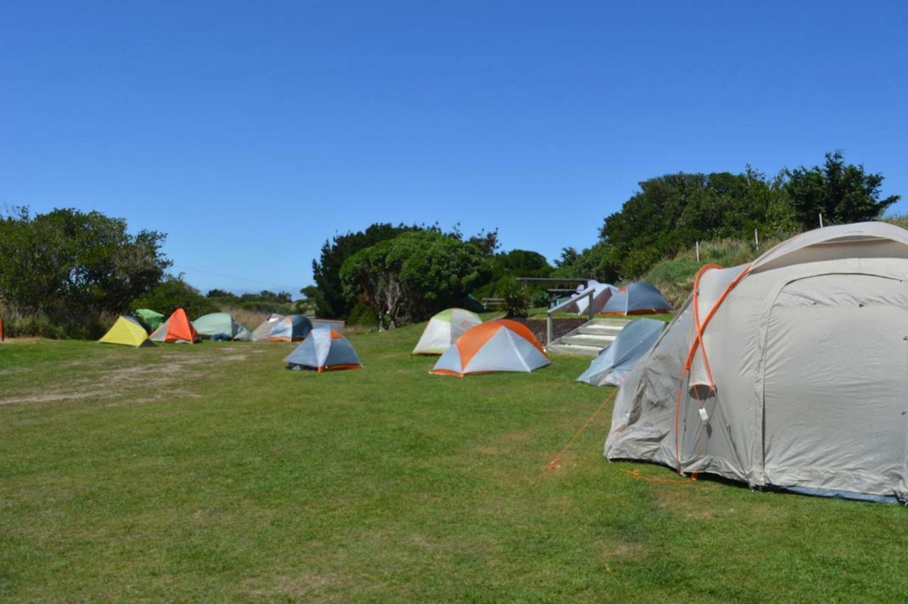 Dunedin Holiday Park Zewnętrze zdjęcie